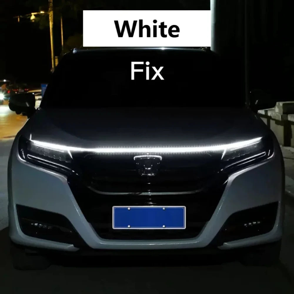 Scan Ice Blue Hood Light