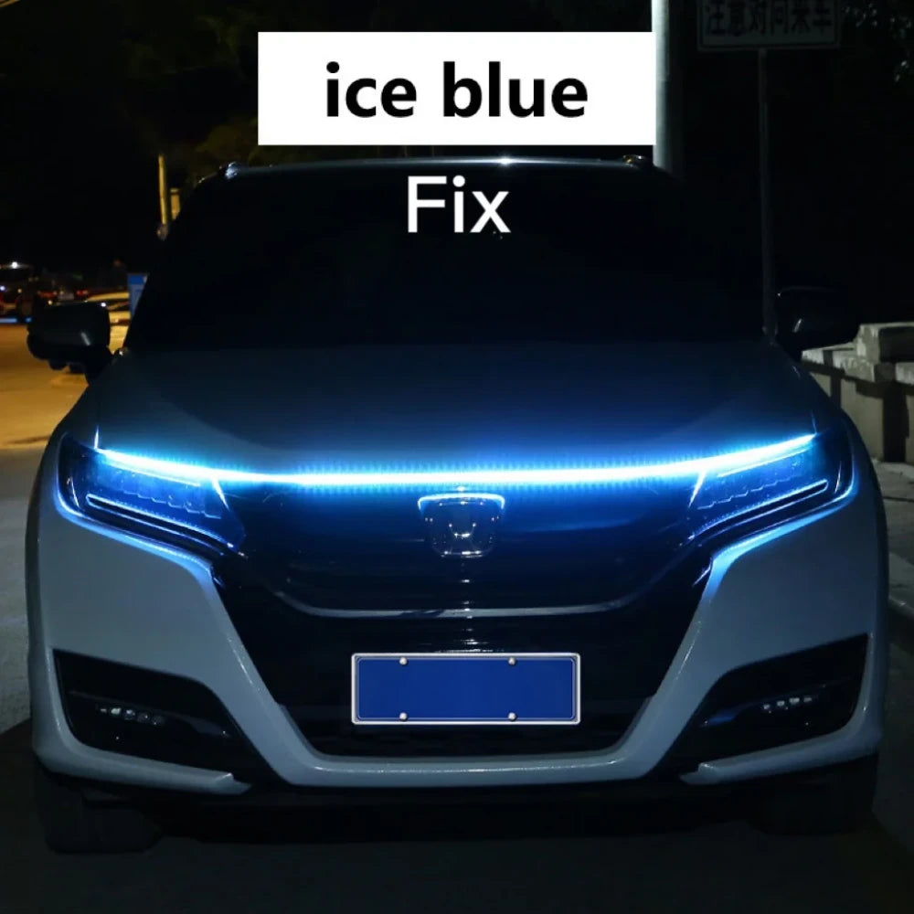 Scan Ice Blue Hood Light